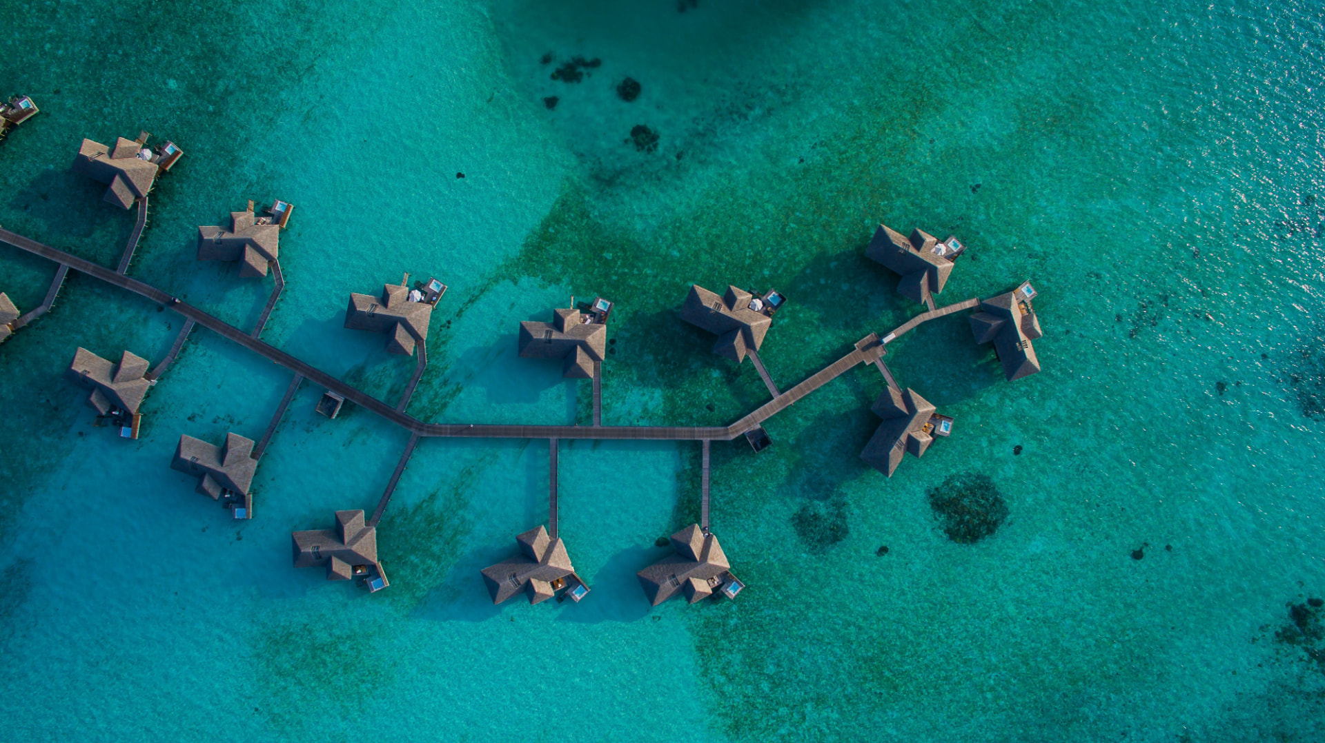 Vacation Packages